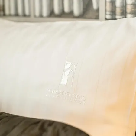 Scharffenberg Main Square *